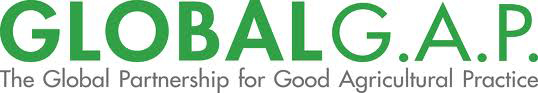 logo global